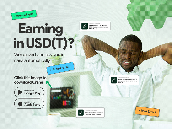 A blog ad with the inscription "Earning in USD(T)? We convert and pay you in naira automatically." 