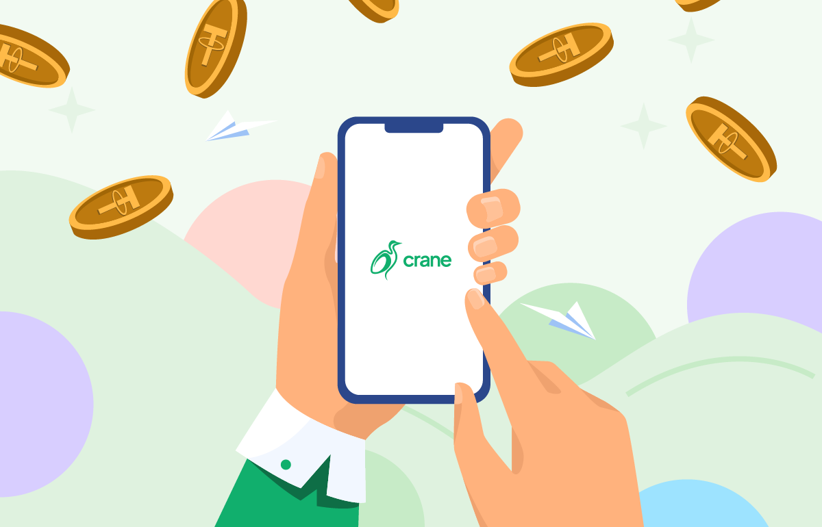 What is the best platform to convert stablecoins for free in Nigeria?